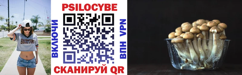 Псилоцибиновые грибы Cubensis  кракен рабочий сайт  Петухово 